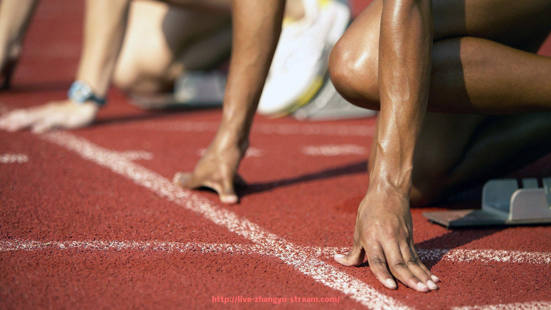 章鱼直播-世俱杯防守型中场角色定位及表现分析